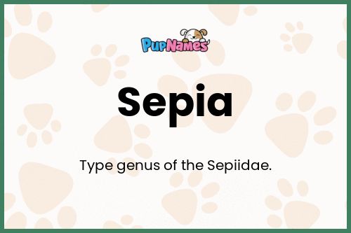 Sepia dog name meaning