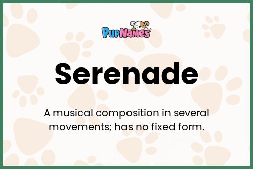 Serenade dog name meaning