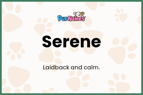 Serene dog name meaning