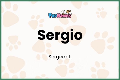 Sergio dog name meaning