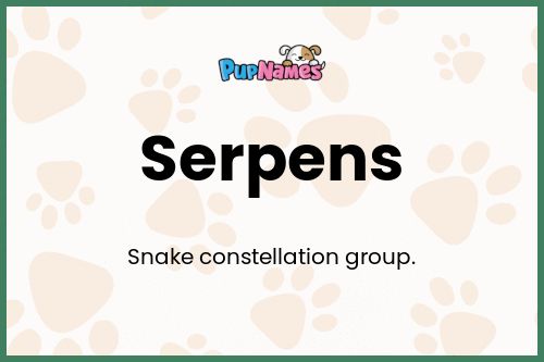 Serpens dog name meaning