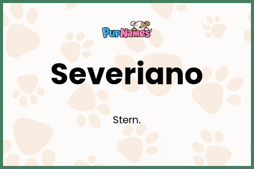 Severiano dog name meaning