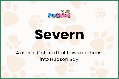 Severn dog name meaning