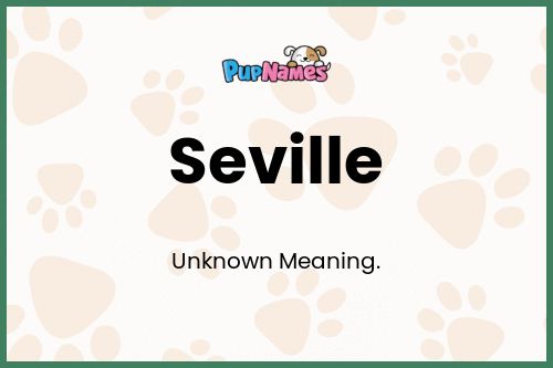 Seville dog name meaning