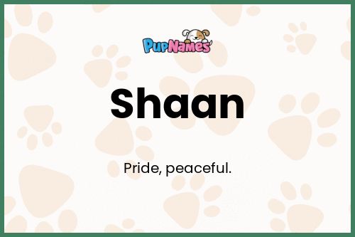 Shaan dog name meaning