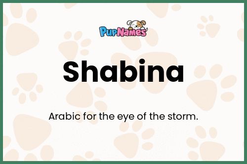 Shabina dog name meaning