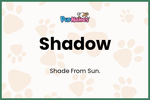 Shadow dog name meaning