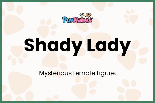 Shady Lady dog name meaning