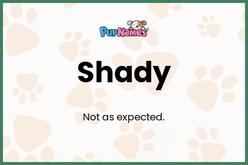 Shady dog name meaning