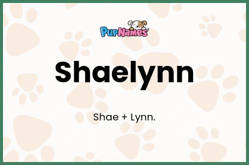 Shaelynn dog name meaning