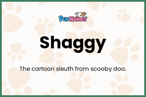 Shaggy dog name meaning