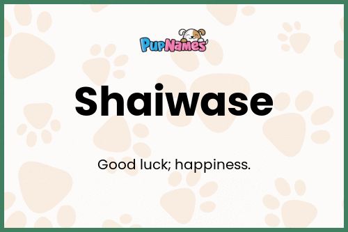 Shaiwase dog name meaning