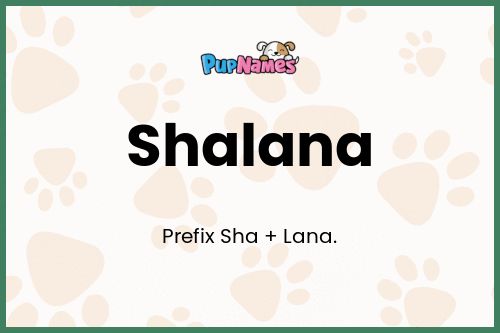 Shalana dog name meaning