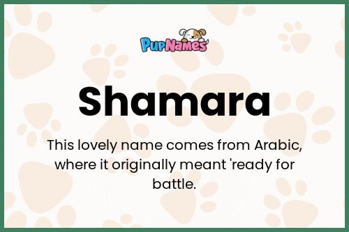 Shamara dog name meaning