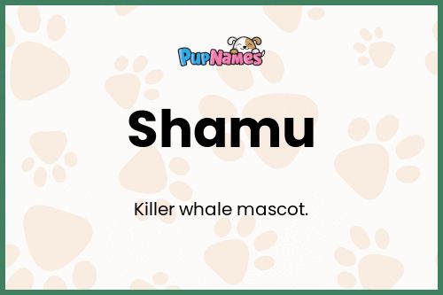 Shamu dog name meaning