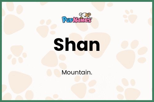 Shan dog name meaning