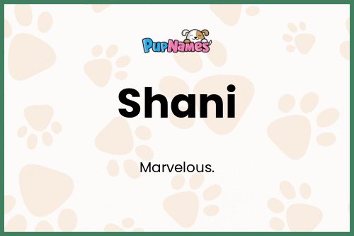 Shani dog name meaning