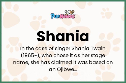 Shania dog name meaning