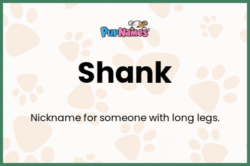 Shank dog name meaning