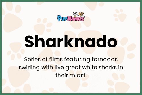 Sharknado dog name meaning