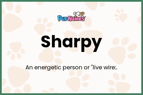 Sharpy dog name meaning
