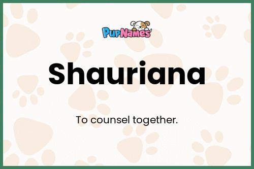 Shauriana dog name meaning