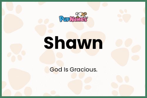 Shawn dog name meaning