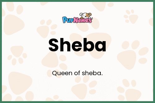 Sheba dog name meaning