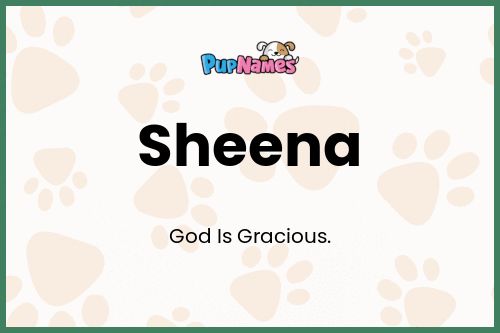 Sheena dog name meaning