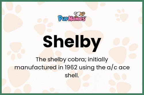 Shelby dog name meaning