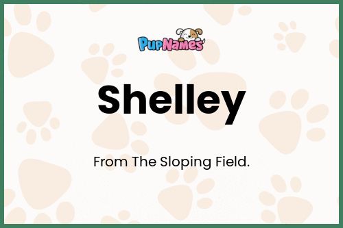 Shelley dog name meaning