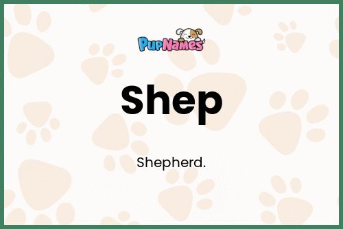 Shep dog name meaning
