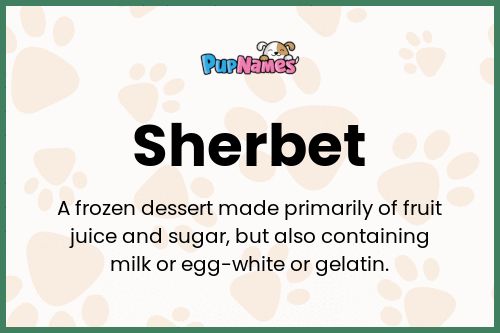 Sherbet dog name meaning