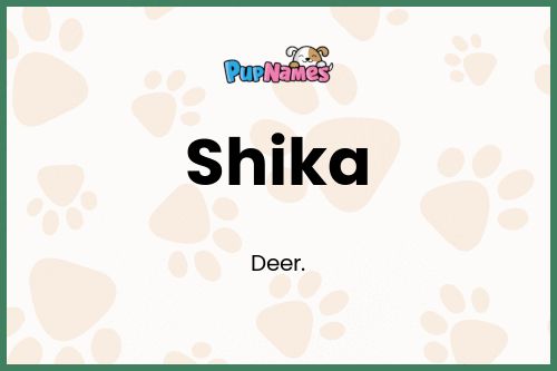 Shika dog name meaning