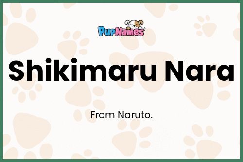 Shikimaru Nara dog name meaning