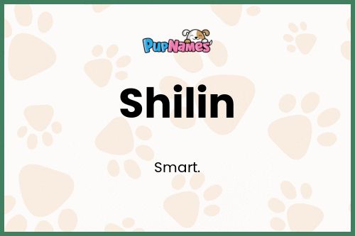 Shilin dog name meaning