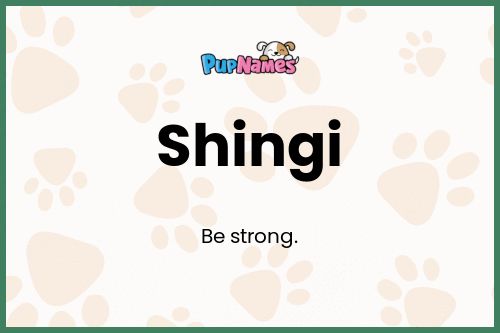 Shingi dog name meaning