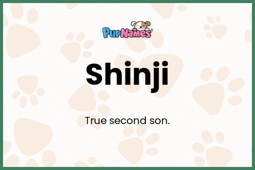 Shinji dog name meaning