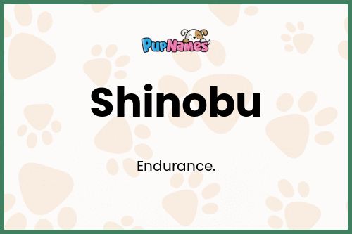 Shinobu dog name meaning