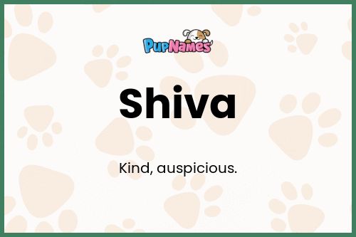 Shiva dog name meaning