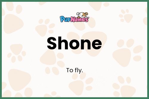 Shone dog name meaning