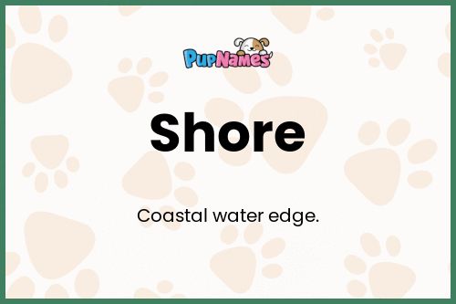 Shore dog name meaning