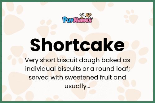 Shortcake dog name meaning