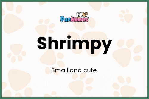 Shrimpy dog name meaning