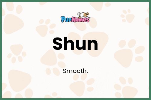 Shun dog name meaning