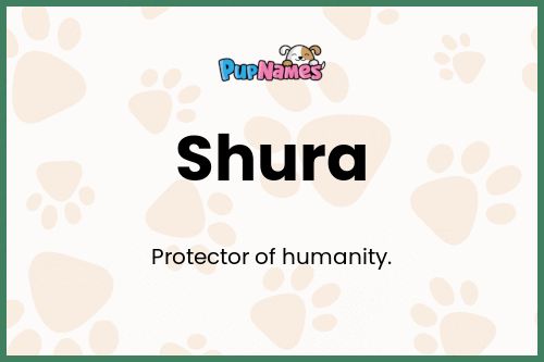 Shura dog name meaning