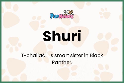 Shuri dog name meaning