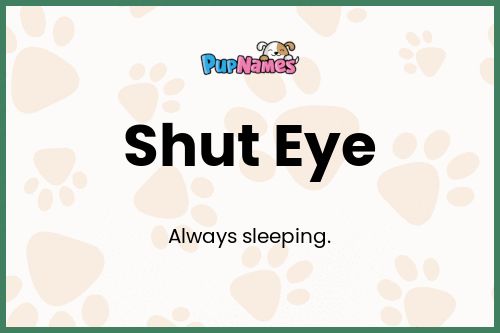 Shut Eye dog name meaning