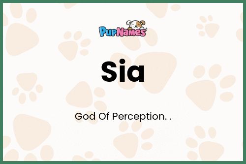 Sia dog name meaning