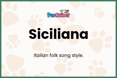 Siciliana dog name meaning